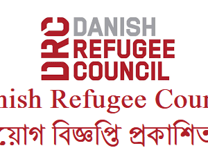 danish refugee council job circular