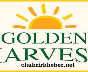 golden harvest infotech job circular