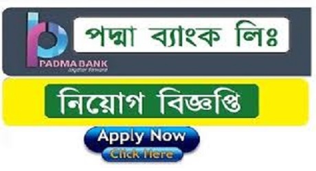 padma bank ltd job circular