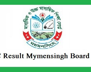 ssc result mymensingh board