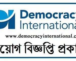 democracy international job circular