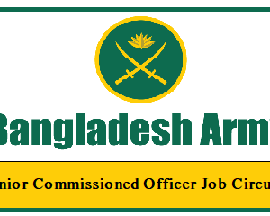 junior commissioned officer job circular