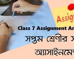 class 7 assignment