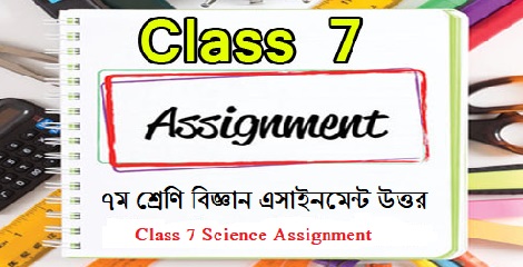 class 7 science assignment