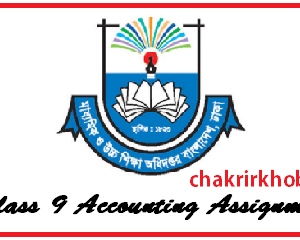 class 9 accounting assignment