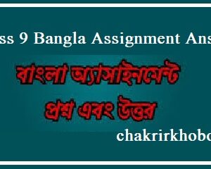 class 9 bangla assignment