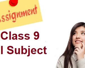 class 9 english assignment