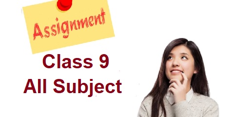 class 9 english assignment
