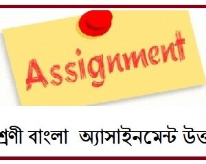 class 8 bangla assignment