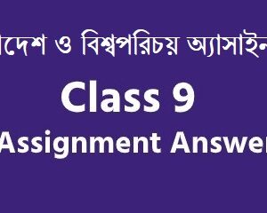 class 9 bgb assignment