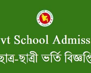government school admission