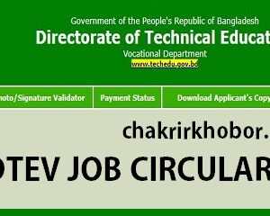 directorate technical education job circular