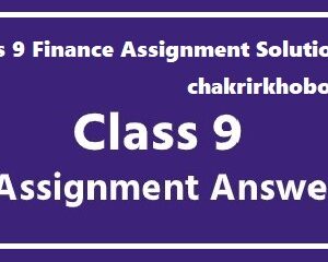 class 9 finance assignment