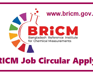 bricm job circular