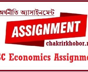 hsc economics assignment