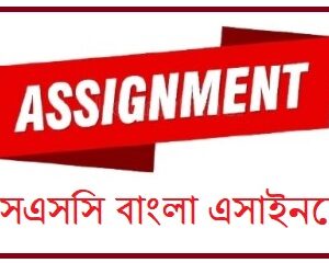 ssc bangla assignment answer