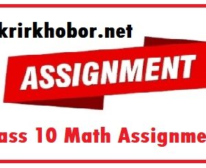 class 10 math assignment