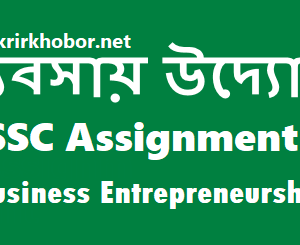 ssc business entrepreneurship assignment