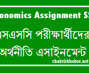 ssc economics assignment