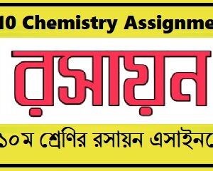 class 10 Chemistry assignment