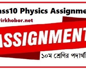 class 10 physics assignment