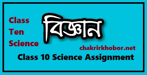 class 10 Science assignment