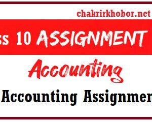 class 10 accounting assignment