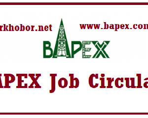 bapex job circular
